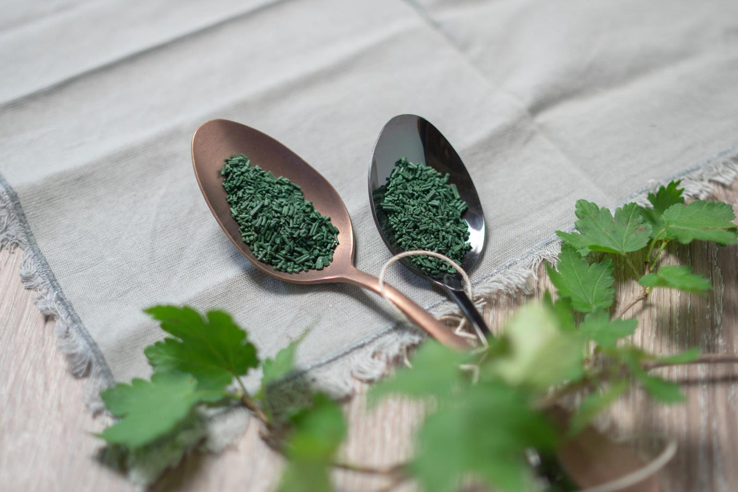 Spiruline en paillettes 100g