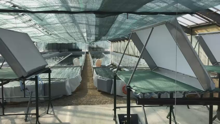 Charger la vidéo : Visite de la serre sur demande